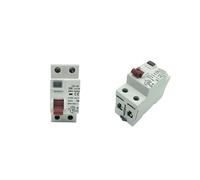 Disjoncteur de courant résiduel RCD RCCB, type B, Evse 2P 4P AC 40a 63a 120a 30ma EKL6-100B 10KA Rail Din 220V(25A)