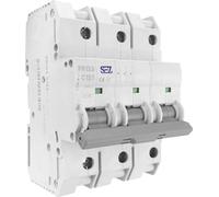 Disjoncteur de protection de ligne C125A 3 pôles 10kA Fusible Automate Disjoncteur LS SEZ