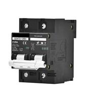 Disjoncteur de tension 2P MCB 100A 125A 150A DC100V 150V 250V 500V 1000V, panneau courbe C, Protection contre les courts-circuits de la batterie(2P DC260-500V,150A)