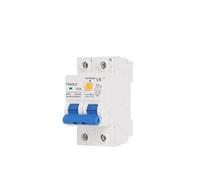 Disjoncteur différentiel 230 V 2P MCB 30 mA Protection contre les surcharges, courts-circuits et fuites de courant RCBO RCCB RCD 16 A 32 63(25A)