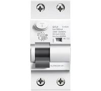 Disjoncteur Différentiel électromagnétique De Type AC AC Elcb 2 Pôles 25a 40a 63a 80a 100a RCD 30ma 100ma, 100ma, 2P 25A