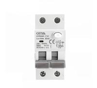 Disjoncteur différentiel électromagnétique de type CA GYR9NM 2P 1P+N 40A 6KA RCBO avec surintensité(2P 25A,300mA)