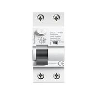 Disjoncteur différentiel électromagnétique type GYL9 AC, 2 pôles, 25 A, 40 A, 63 A, 100 A, 30 mA, 100 mA, 300 mA(2P 25A,300mA)