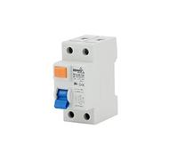 Disjoncteur différentiel FI de protection Interrupteur 2 pôles - 100 mA - 63 A
