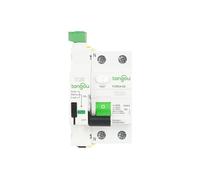 Disjoncteur différentiel intelligent, dispositif de réenclenchement automatique, Type RCD RCCB AC, 2P 230V 6KA 63A 10mA 30mA 100mA 300mA(10A)
