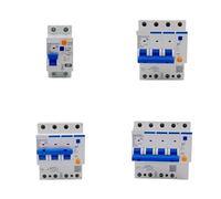 Disjoncteur différentiel NXBLE-63YH 100 mA 0,1 A, interrupteur magnéto-thermique NXBLE 32 A 40 A 63 A 125 A(2P,63A)