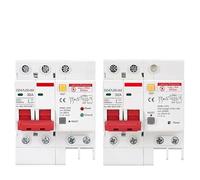 Disjoncteur différentiel SPD avec protection contre les surcharges RCD RCBO RCCB avec protection contre la foudre MCB Protection contre les surtensions de fuite(2P-220V 3KA,63A)