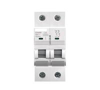 Disjoncteur Disjoncteur 10KA MCB 2P 6A 10A 16A 20A 25A 32A 40A 50A 63A 220V Courbe C(50A)