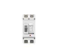 Disjoncteur Disjoncteur à boîtier moulé 125A AC MCCB 63A 100A AC230V 2P monophasé 3P AC400V triphasé(2P,63A)