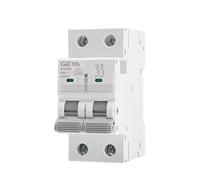 Disjoncteur Disjoncteur GYM9H 10KA 2P 6A 10A 16A 20A 25A 32A 40A 50A 63A 220V courbe C(63A)
