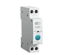 Disjoncteur Disjoncteur intelligent WiFi MCB 1P+N 63A Minuterie Puissance Énergie kWh Tension Courant Compteur Protecteur Télécommande vocale Interrupteur(No Metering,40A)