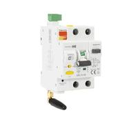 Disjoncteur Disjoncteur intelligent WiFi RCBO avec fonction de réenclenchement automatique 2P 220V 16A-63A(16a)