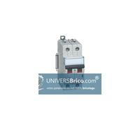 407784 Disjoncteur bipolaire 16A - 2P Courbe C - 6/10kA - À vis - Legrand DX3