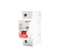 Disjoncteur DZ47 interrupteur pneumatique type D 80A 100A 125A unipolaire 1P interrupteur pneumatique haute puissance Protection des circuits(80A)