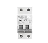 Disjoncteur électromagnétique à courant résiduel de Type AC GYR9NM 2P 1P + N 40A 6KA avec Protection contre les surintensités(2P 25A,300mA)