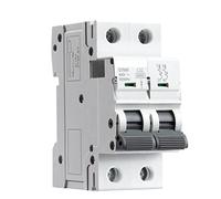 Disjoncteur Gym9 2p 6ka Capacité de rupture MCB Rail Din Mini disjoncteur 6a-63a AC Typ Interrupteur automatique (Color : 32a, Size : 2 Pole C Curve)