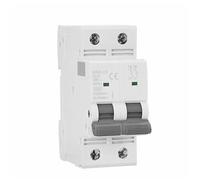 Disjoncteur GYM9 biphasé, mini-disjoncteur DP MCB 80 A, 100 A, 125 A, 2P, largeur 35,6 mm, 400 V, kA, 1 pièce(100A)