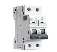 Disjoncteur Gym9 Disjoncteur 2 pôles MCB 23 0V 6a-63a AC Typ Interrupteur automatique (Color : 10a, Size : 2 Pole C Curve)