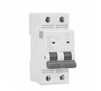 Disjoncteur GYM9 Mini disjoncteur biphasé DP MCB Courant nominal 80 A 100 A 125 A 2P Largeur 35,6 mm 400 V kA 1 pièce(125A)
