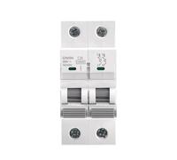 Disjoncteur GYM9H 10KA 2P 6A 10A 16A 20A 25A 32A 40A 50A 63A 220V Courbe C Fabricant(6A)