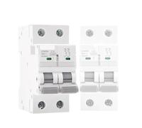 Disjoncteur GYM9H 10KA 2P 6A 10A 16A 20A 25A 32A 40A 50A 63A 220V Courbe C Fabricant chinois(20A)