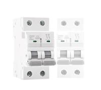 Disjoncteur GYM9H 10KA 2P 6A 10A 16A 20A 25A 32A 40A 50A 63A 220V Courbe C Fabricant chinois(50A)