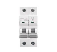 Disjoncteur GYM9H 10KA MCB 2P 6A-63A 220V Courbe C Fabricant chinois 6A-63A 1 pièce(40A)