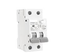 Disjoncteur GYR9NM 230V RCBO 6KA MCB Disjoncteur à courant résiduel avec protection contre les surintensités et les fuites 1 0a 16a 25a 32a 40a Interrupteur automatique (Color : 2p 16a, Size : 30mA