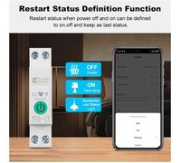 Disjoncteur Intelligent Tuya WiFi 1P+N 63A, Interrupteur sur Rail DIN avec Statistiques Électriques, Commande Vocale à Distance