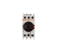 Disjoncteur isotherme 3P 32A GA032A GA disjoncteur