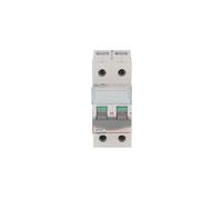 Disjoncteur isotherme modulaire 125A 2P disjoncteur FR300 406450
