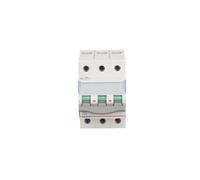Disjoncteur isotherme modulaire 125A 3P disjoncteur FR300 406470