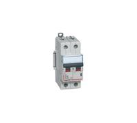 Legrand Disjoncteur bipolaire DX3 16A 2P Courbe C 6/10kA À vis (407784)