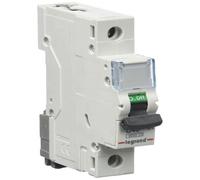 Disjoncteur - Legrand - 403438 - 1P - 40A - 6kA - IP2X