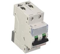 Disjoncteur - LEGRAND - 403524 Tx3 C6 A 2P - 6 Ka - Magneto-thermique - Intérieur