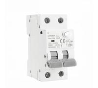 Disjoncteur magnétique GYR9NM type AC RCBO 2P 4P avec protection contre les surintensités et les fuites, rail DIN 10 A 16 A 25 A 32 A 40 A, 1 pièce(30mA,2P 40A)