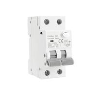 Disjoncteur magnétique RCBO GYR9NM type AC 2P/4P avec protection contre les surintensités et les fuites de courant, montage sur rail DIN, 10 A, 16 A, 25 A, 32 A, 40 A, Pièces(300mA,2P 16A)