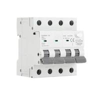Disjoncteur magnétique RCBO GYR9NM type AC 2P/4P avec protection contre les surintensités et les fuites de courant, montage sur rail DIN, 10 A, 16 A, 25 A, 32 A, 40 A, Pièces(30mA,4P 25A)