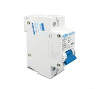 Disjoncteur miniature 125 A 1P DC 250 V courbe C pour panneau solaire PV et interrupteur principal de batterie, norme IEC60898 IEC60947-2, IP20 pour surcharge électrique (125 A)