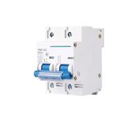 Disjoncteur miniature bipolaire C45N 3 A/6 A/10 A/16 A/20 A/32 A/40 A/50 A/63 A 400 V~ Type C Montage sur rail DIN 35 mm Capacité de coupure 6 kA(2P,125A)