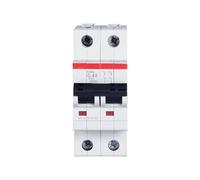 Disjoncteur miniature bipolaire S200, type S202 C, 1, 2, 3, 4, 6, 10, 16, 20, 25, 32, 40, 50, 63 A(4A)