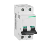 Disjoncteur miniature CC C65N-DC 1P 2P A9, type rail, for installation solaire domestique, 32 A, 40 A, 50 A, 63 A(2P,63A)