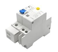Disjoncteur Miniature domestique DZ47LE-63, 1P/2P/3P/4P, interrupteur à Air avec protection contre les fuites, porte principale triphasée, 1 pièce(1P N,16A)