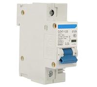 Disjoncteur Miniature DZ47-125 1P Disjoncteur Miniature d'air à Basse Tension Interrupteur de Disjoncteur 230V 80/100/125A 0.1S 6KA(125A)