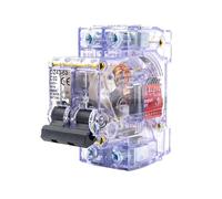 Disjoncteur miniature DZ47-63 2P 16-63 A, coque transparente, rail DIN 230/400 V, boîtier de distribution domestique, protection contre les courts-circuits(50A)