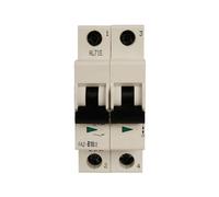 Disjoncteur miniature FAZ-D1.5/2-RT 1,5 A, 2 pôles, caractéristique : D 102219