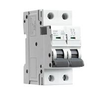 Disjoncteur miniature GYM9 2P 6KA à capacité de coupure, type AC 6A-63A, rail DIN, fabricant direct d'usine(20A)