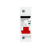Disjoncteur miniature NBT2-125DC 2P pour rail DIN PV, 600 V, 80 A, 100 A, 125 A, 10 kA, courbe C(1P,10A)