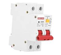 Disjoncteur miniature, RCBO DC protecteur classe A RCD DPN disjoncteur à courant résiduel AC 110V 230V ampères multiples 2 pôles(40a)