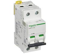 Disjoncteur miniature - Schneider Electric - A9F74216 - 2P - 16 A - Courbe C - Blanc